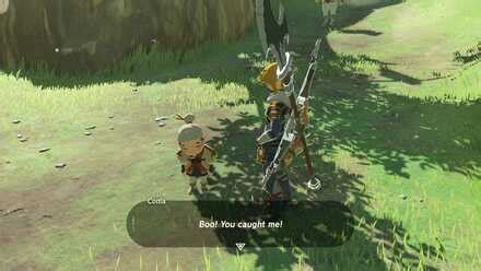 botw playtime